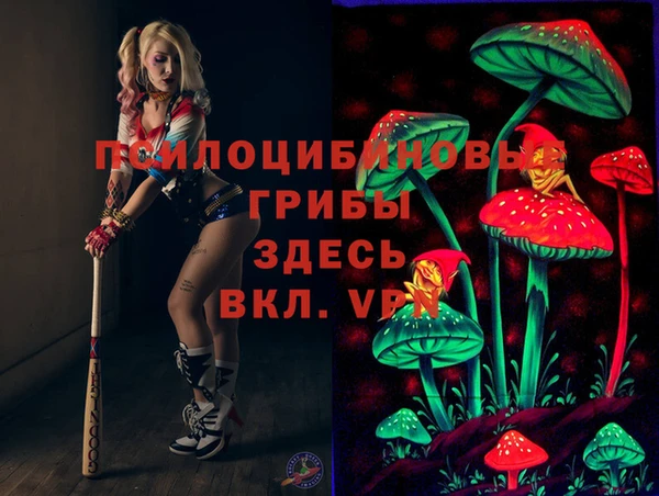 гидропоника Армянск
